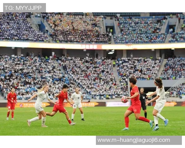 足球赛事全景解析从国际大赛到地方联赛的全面介绍 足球赛事全景解析从国际大赛到地方联赛的全面介绍